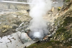 IMG_1550