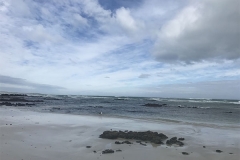 Hermanus