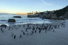 boulder beach