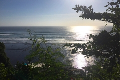 Single fin