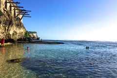 Single fin
