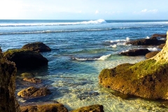 Single fin