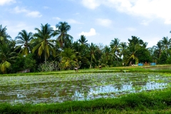 Ubud
