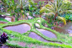 Ubud