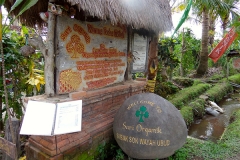 Ubud