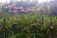 Ubud