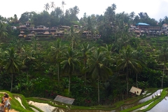 Ubud