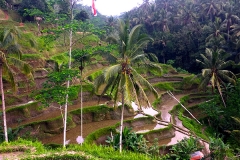 Ubud