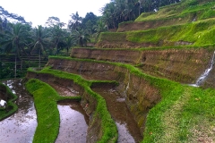 Ubud