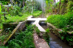 SAMSUNG CAMERA PICTURESUbud