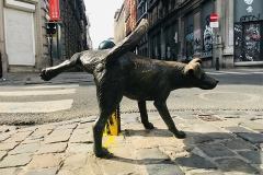 Bruxelles-31