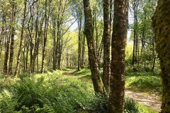ecosse02