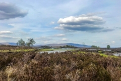 ecosse05