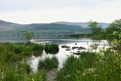 ecosse25