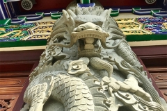 hong kong0 (6)
