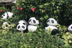 hong kong0 (8)