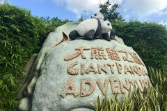 hong kong1 (8)