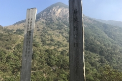 hong kong4 (1)