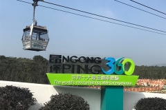 hong kong4 (2)