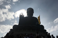 hong kong4 (3)