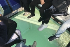 hong kong4