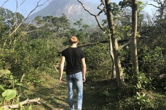hong kong5 (2)