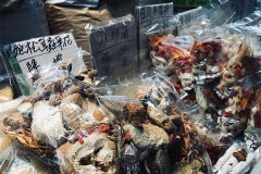 hong kong7 (4)