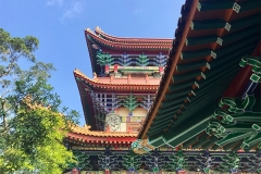 hong kong9 (5)