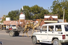 un monde de voyages Inde