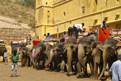 un monde de voyages Inde Jaipur - Fort d'Amber