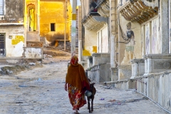 un monde de voyages Inde Bikaner