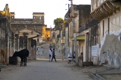 un monde de voyages Inde Bikaner