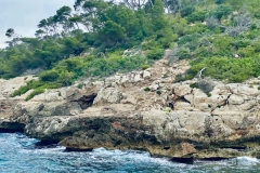 minorque1