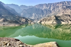 OMAN-8