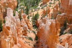 Bryce Canyon - Utah