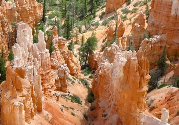 Bryce Canyon - Utah