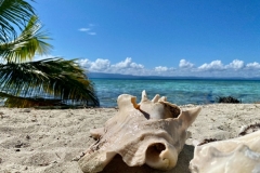 PANAMA35