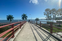 PANAMA44