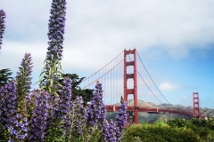 San-francisco_01