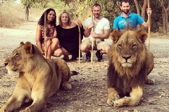 Marche aux lions - réserve de Fhatala