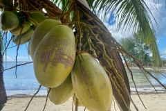 SEYCHELLES_12