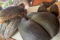 SEYCHELLES_33