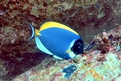 SEYCHELLES_41