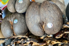 SEYCHELLES_7