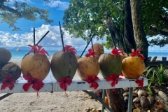 SEYCHELLES_9