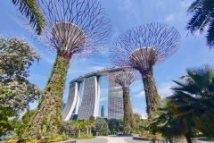 SINGAPOUR8