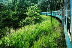 Sri_Lanka_052
