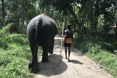 Sri_Lanka_058