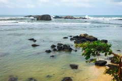 Sri_Lanka_243