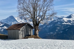 SUISSE_9